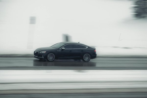 Strategien zur Steigerung des öffentlichen Bewusstseins für den Schutz von Feuchtgebieten: So gestalten Sie eine effektive Kampagne